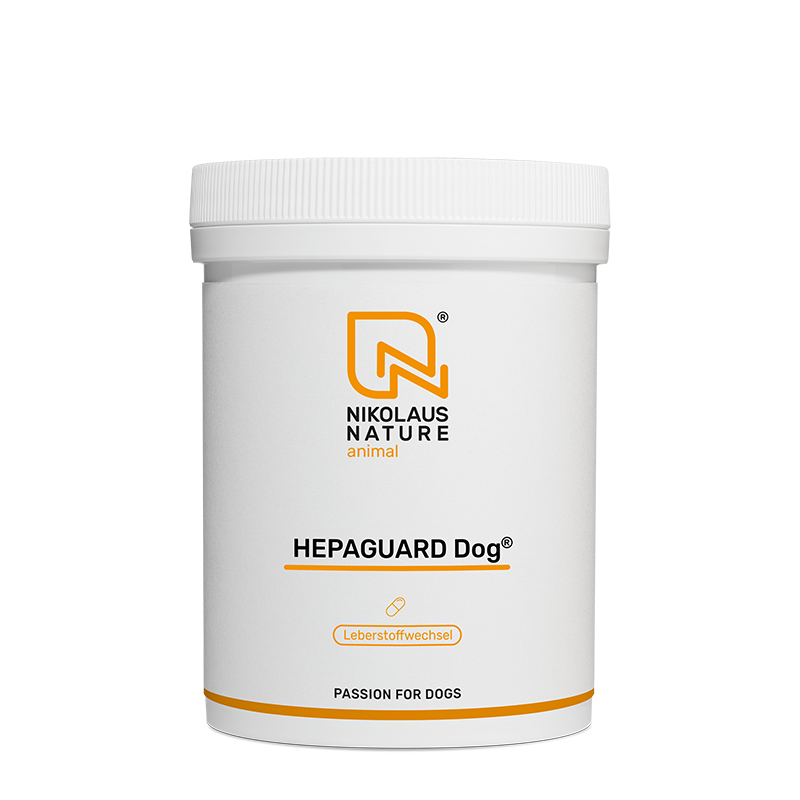 1b10b451-2676-47e7-9be0-7c34607310b8/NN_animal_hepaguard_dog_150_kapseln.png