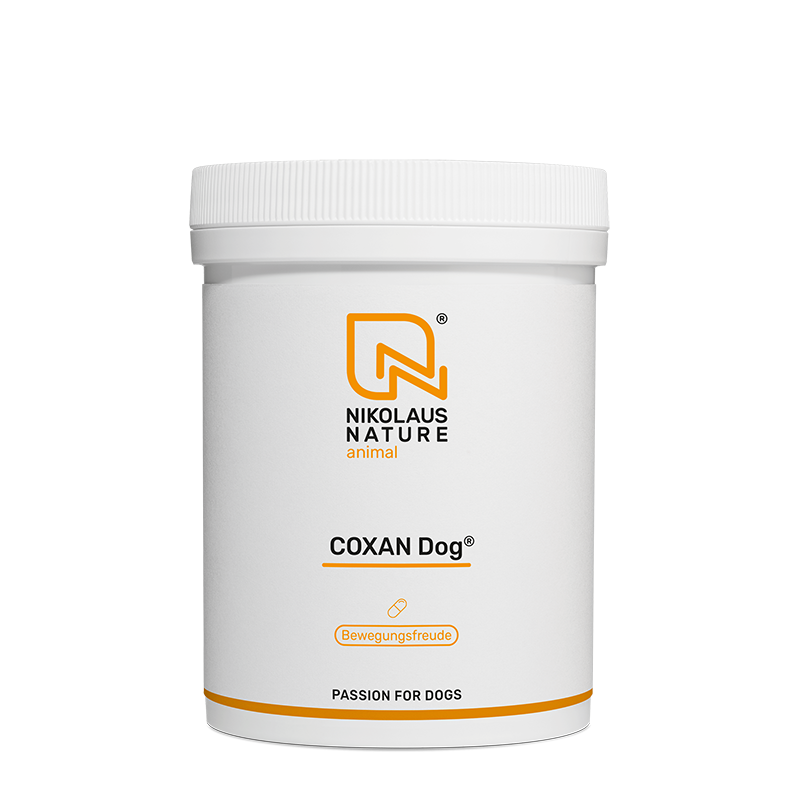 e5667f8c-7ee9-4e76-bbf9-f13bfa7a1a18/NN_animal_coxan_dog_150_kapseln.png