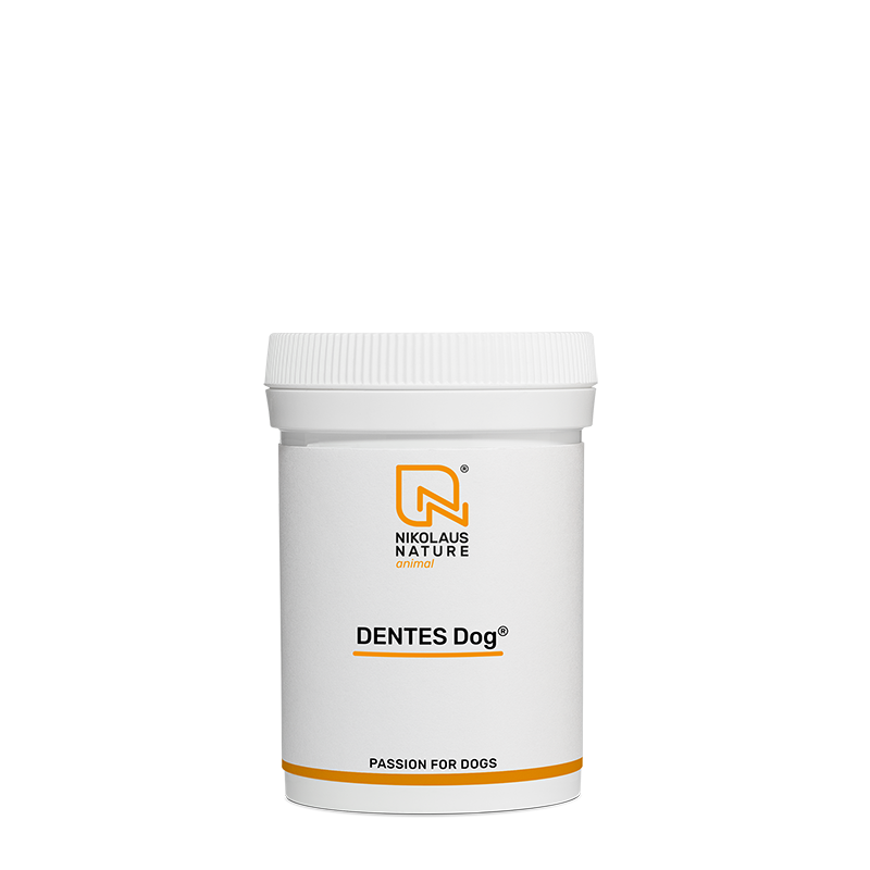 8788a5a5-efea-4c53-b82b-82963b837f24/NN_animal_dentes_dog_40g_pulver.png