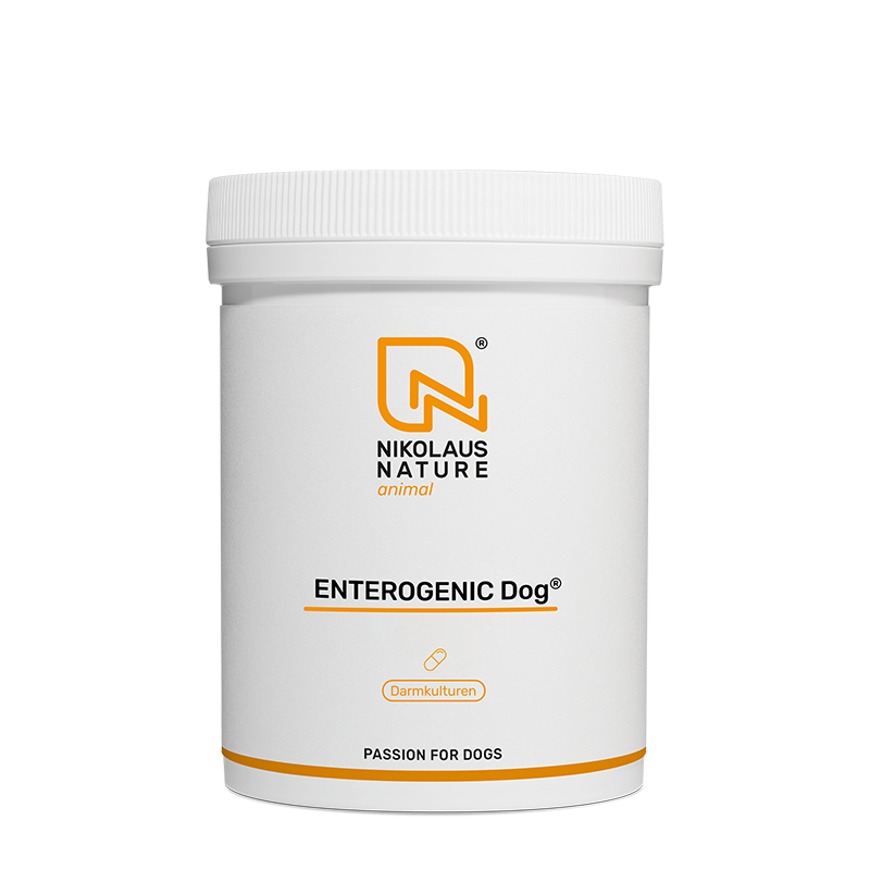 47a367bb-c8a4-41e8-a217-ad523cfcbdd7/NN_animal_enterogenic_dog_150_kapseln.png