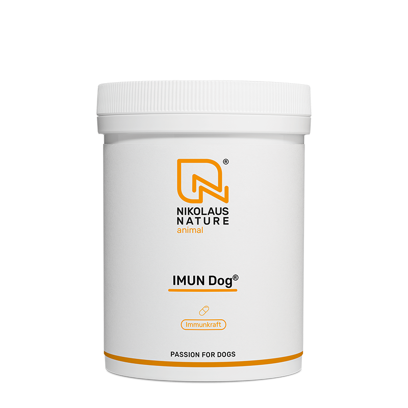 d80a021e-d1ee-4ab3-ae7f-48e6a45d3018/NN_animal_imun_dog_150_kapseln.png
