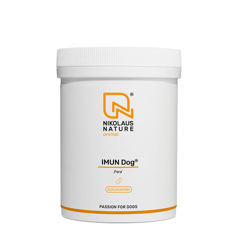 f17e776a-2138-40f3-98ef-a8e41ac84783/NN_animal_imun_dog_para_150_kapseln.png