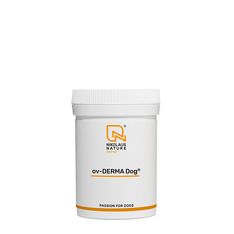 41d13553-5251-44fa-8011-a499c71e2164/NN_animal_ov-Derma_dog_40g_pulver.png